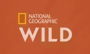Nat Geographic Wild logo