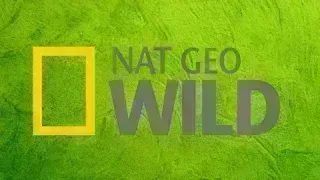 National Geographic Wild logo